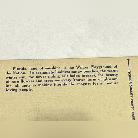 Frolicking Beauties on Florida Beach Vintage Linen Postcard Unposted Tichnor Bro - Picture 6 of 10